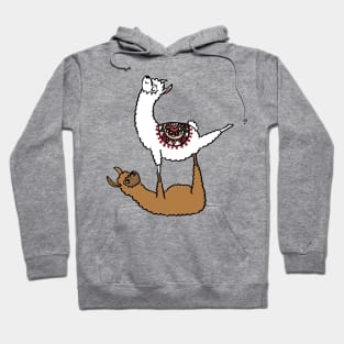 Acroyoga Llama Hoodie